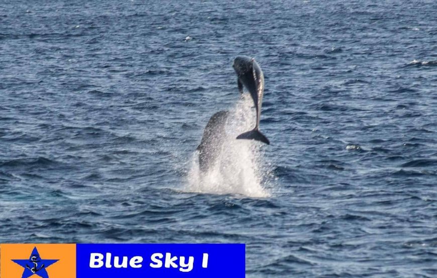 Blue Sky II – Ημερήσια πριβέ κρουαζιέρα